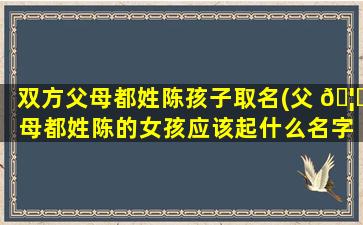 双方父母都姓陈孩子取名(父 🦄 母都姓陈的女孩应该起什么名字好听)